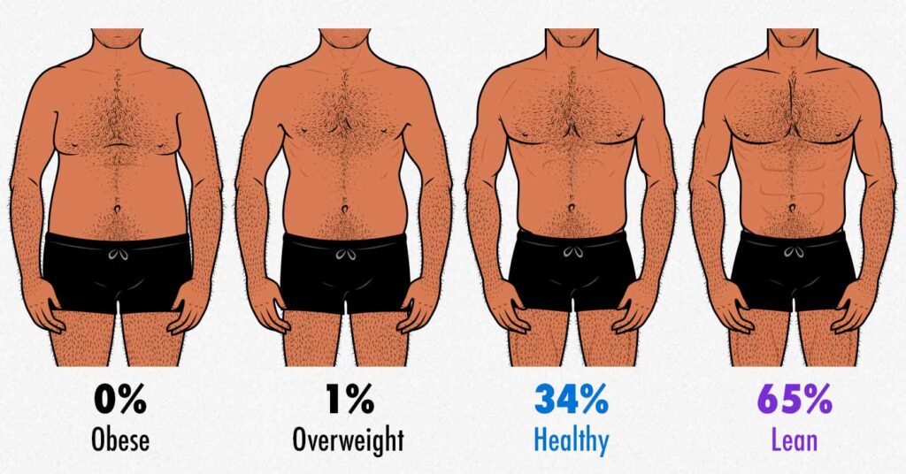 Survey results showing which body-fat percentage gay men prefer.