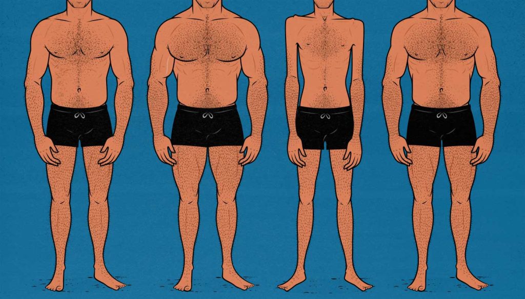 Illustration showing varying degrees of muscularity that women rated for attractiveness.