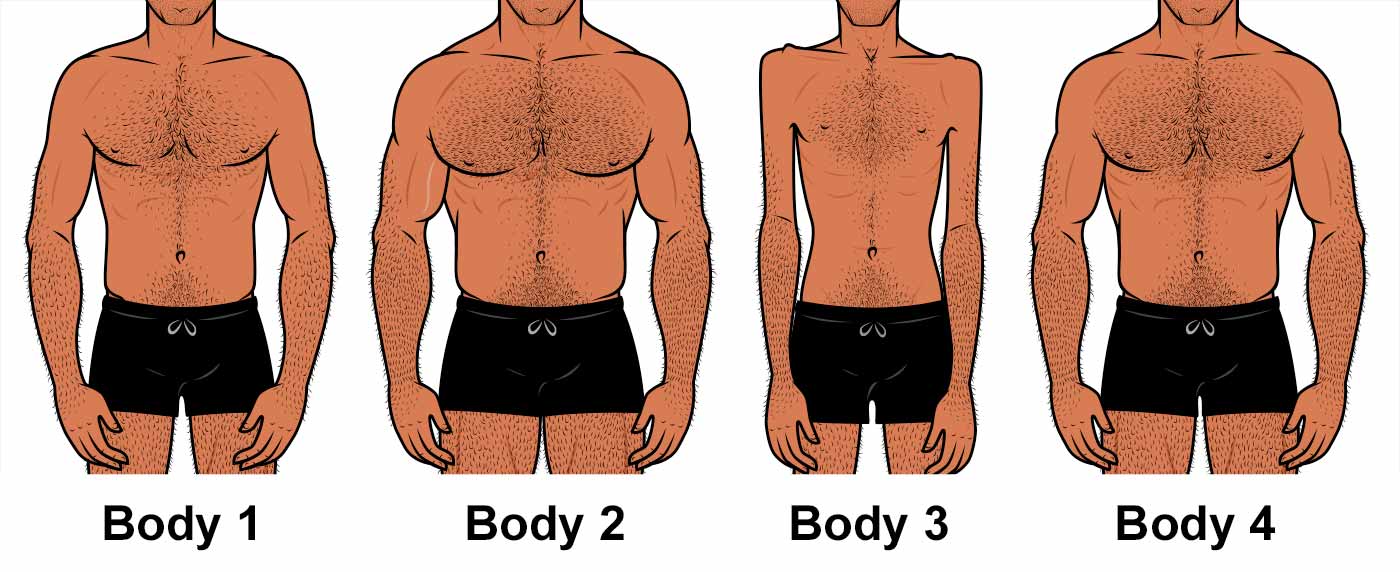 What are the different male body types? - Quora