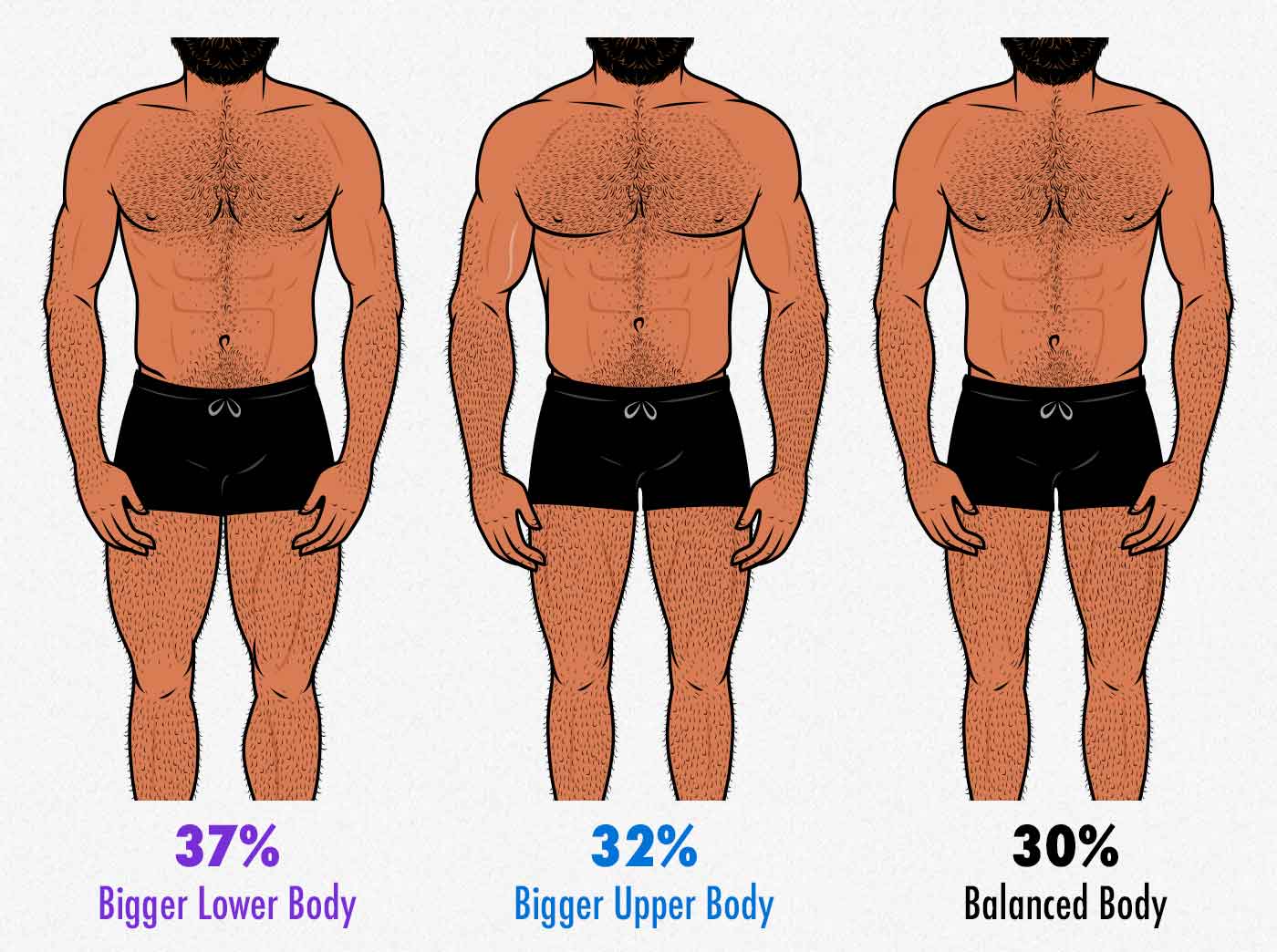 Survey results showing that gay men prefer men with more muscular lower bodies.