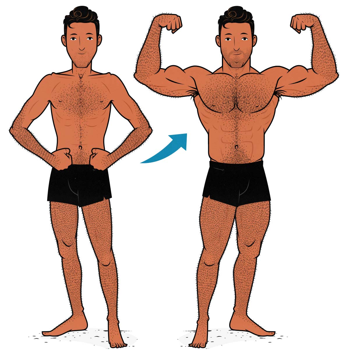 Cartoon illustration of a skinny guy with no abs who is bulking up.