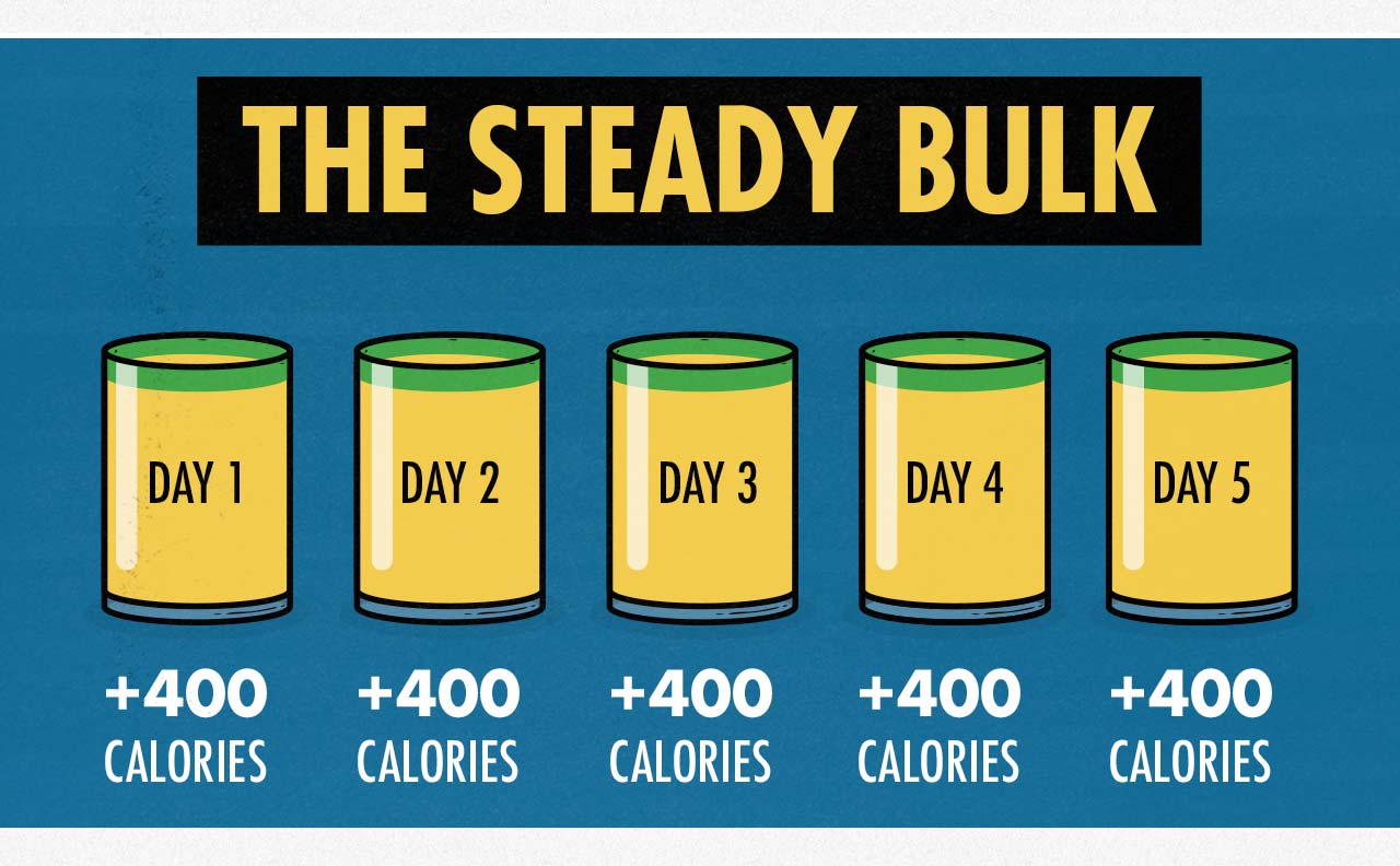 Illustration showing how calorie tracking affects muscle growth and fat gain while bulking.