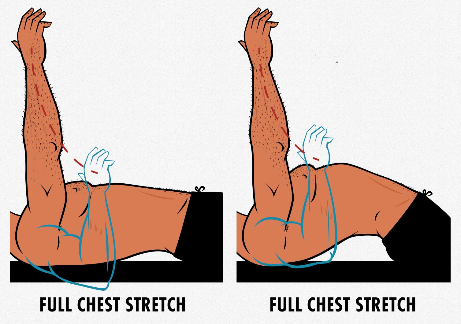 Illustration showing that benching with an arch still gives the chest a deep stretch (usually).