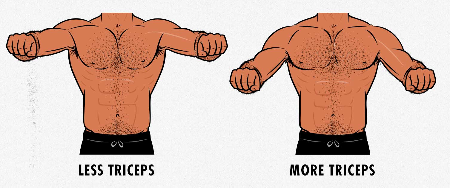 Illustration showing how tucking your elbows increases triceps activation on the bench press.