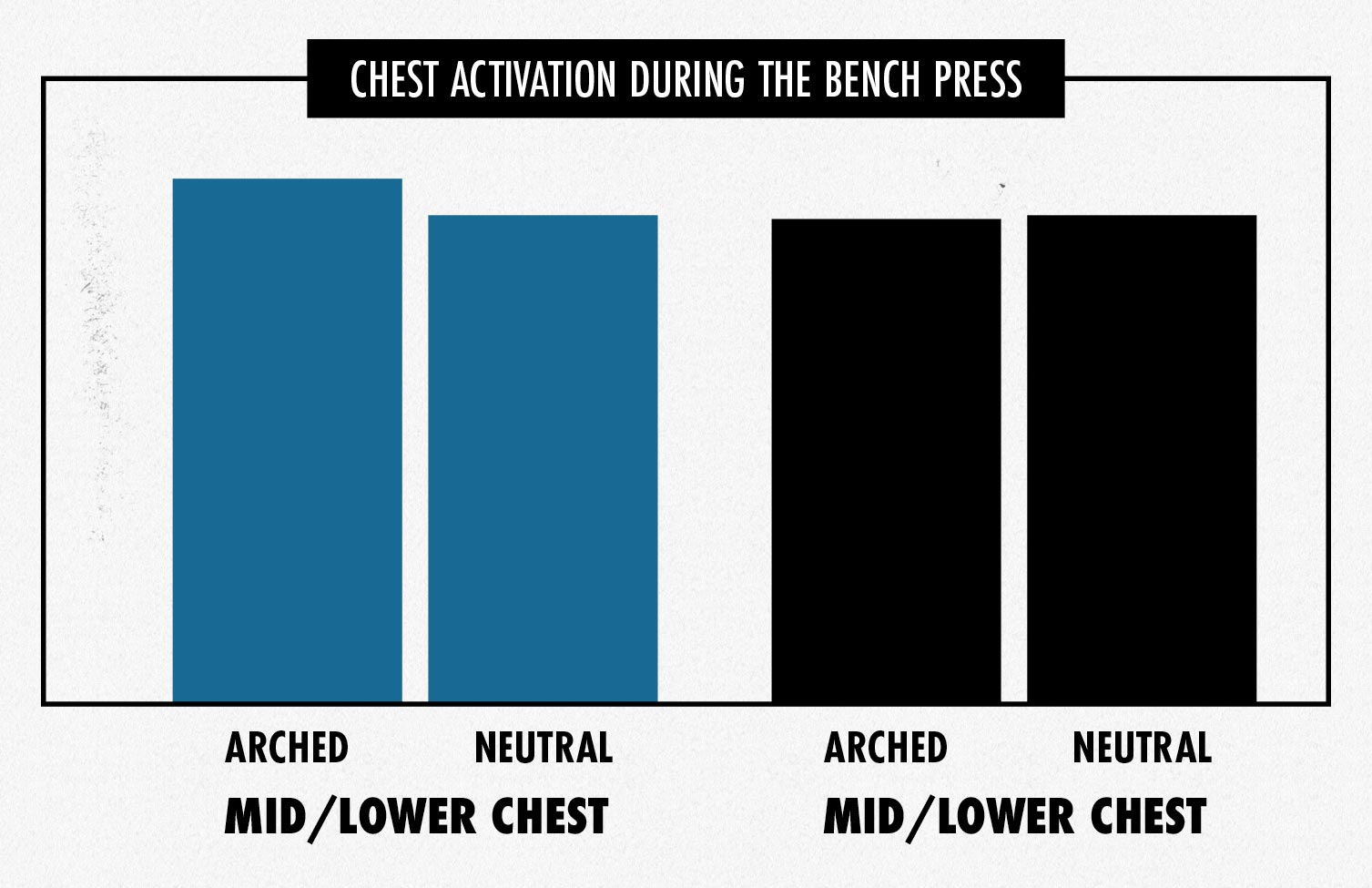 Graph showing that the bench press works the upper, mid, and lower chest, whether you arch your back or keep it flat.