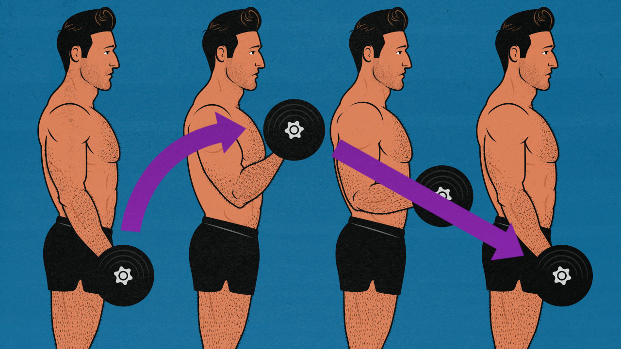 How Lifting Weights Helps You Live Longer