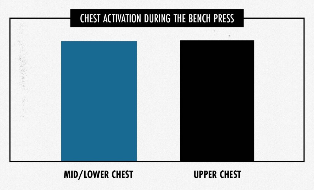 Graph showing that the flat bench press works the upper, mid, and lower chest.