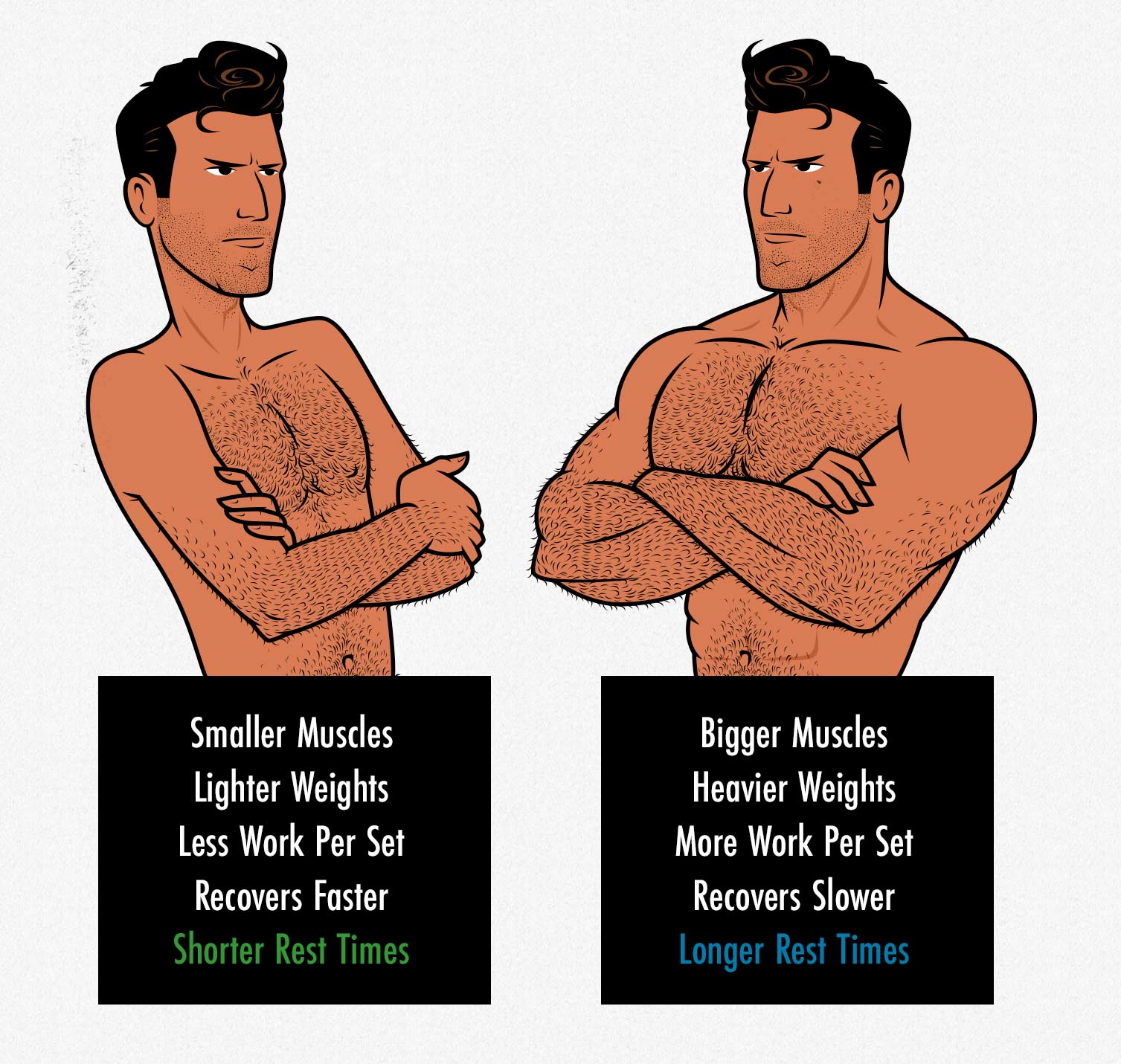 Diagram showing why skinny beginners often need shorter rest times than intermediate lifters.