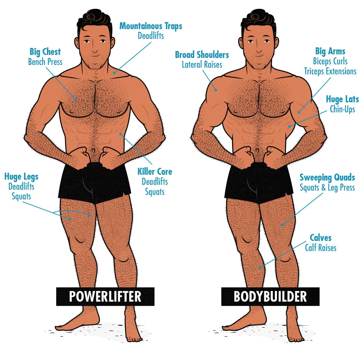 Illustration showing the difference between a bodybuilder and a powerlifter.