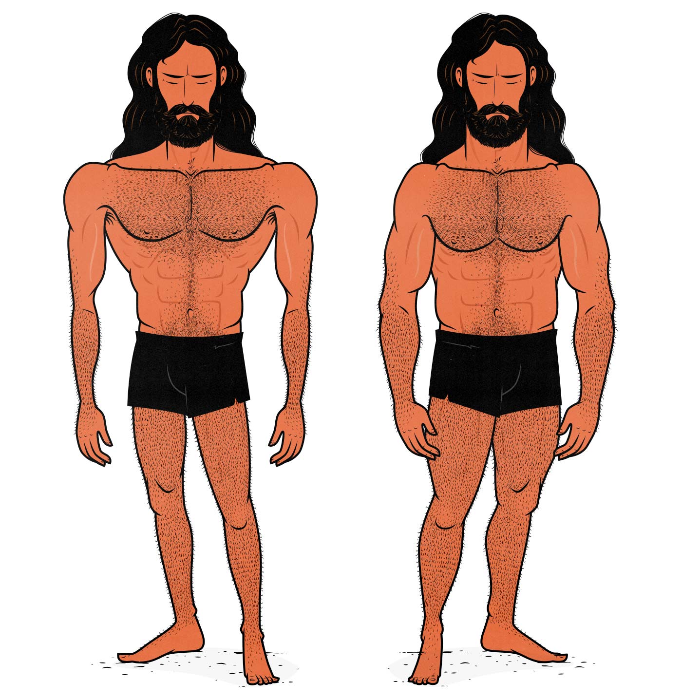 Illustration showing bodybuilders with different bone structures and muscle-building genetics.