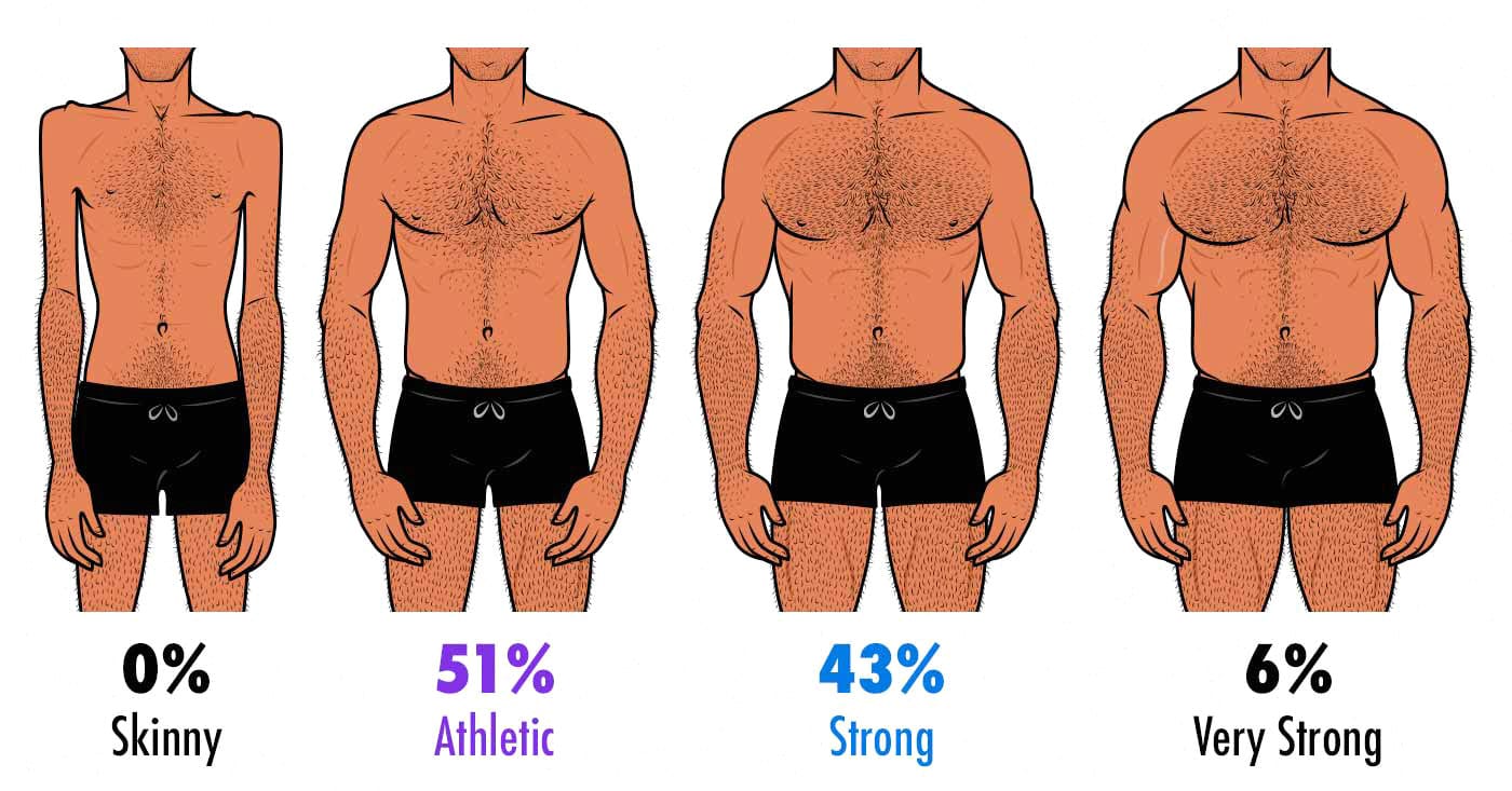 Illustration showing varying degrees of male muscularity.