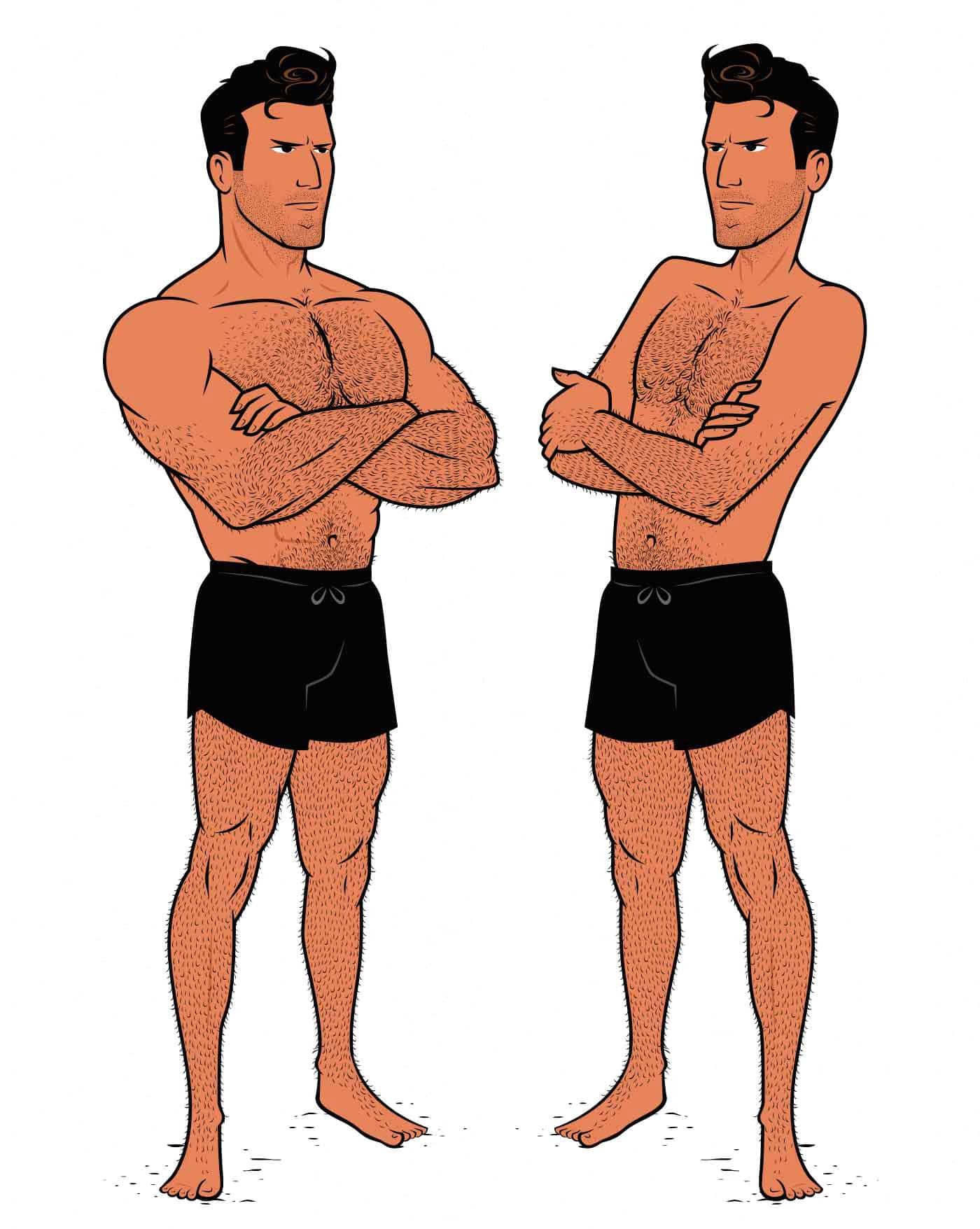 Illustration showing a lean, muscular bodybuilder and an athletic, healthy man.