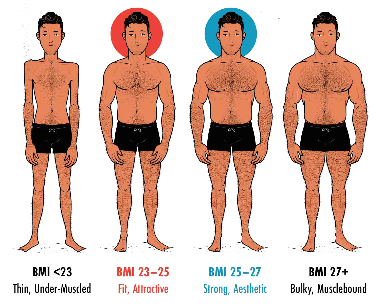 Diagram showing the most attractive and aesthetic male body weights and BMIs.