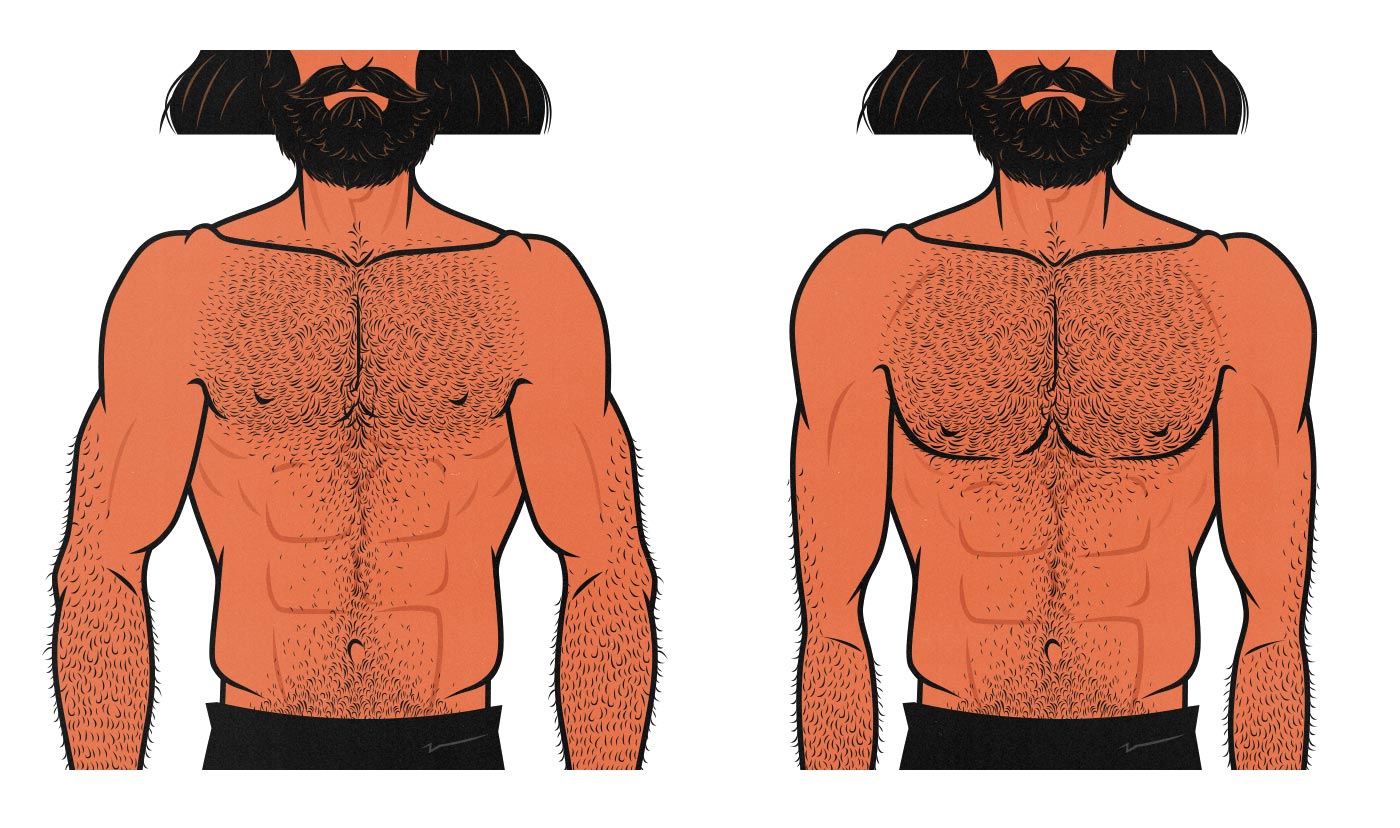 Cartoon illustration showing the difference between a limb-dominant and a torso-dominant lifter.