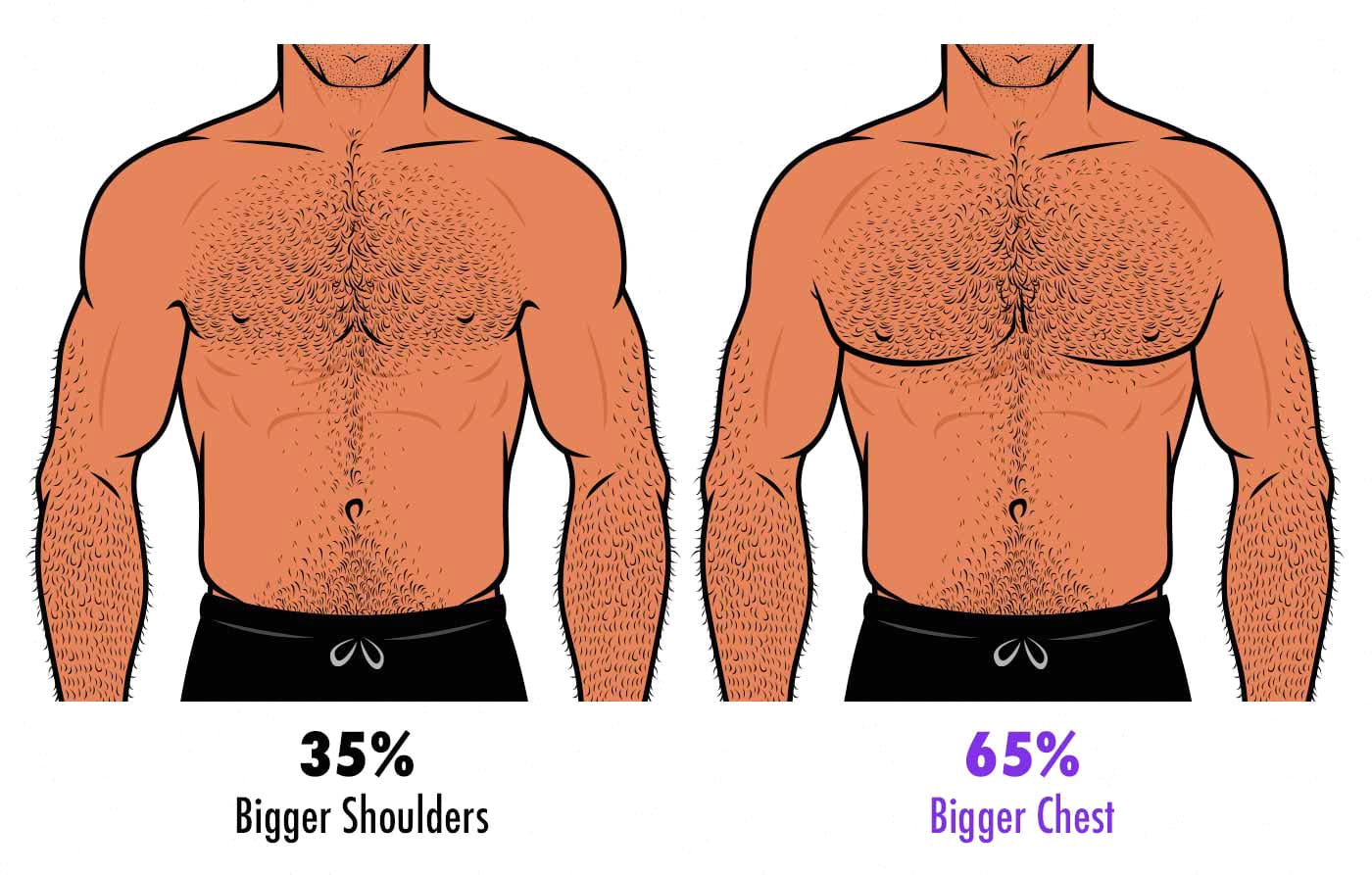 Survey image comparing men with broader shoulders to men with more muscular chests to see which body women preferred.