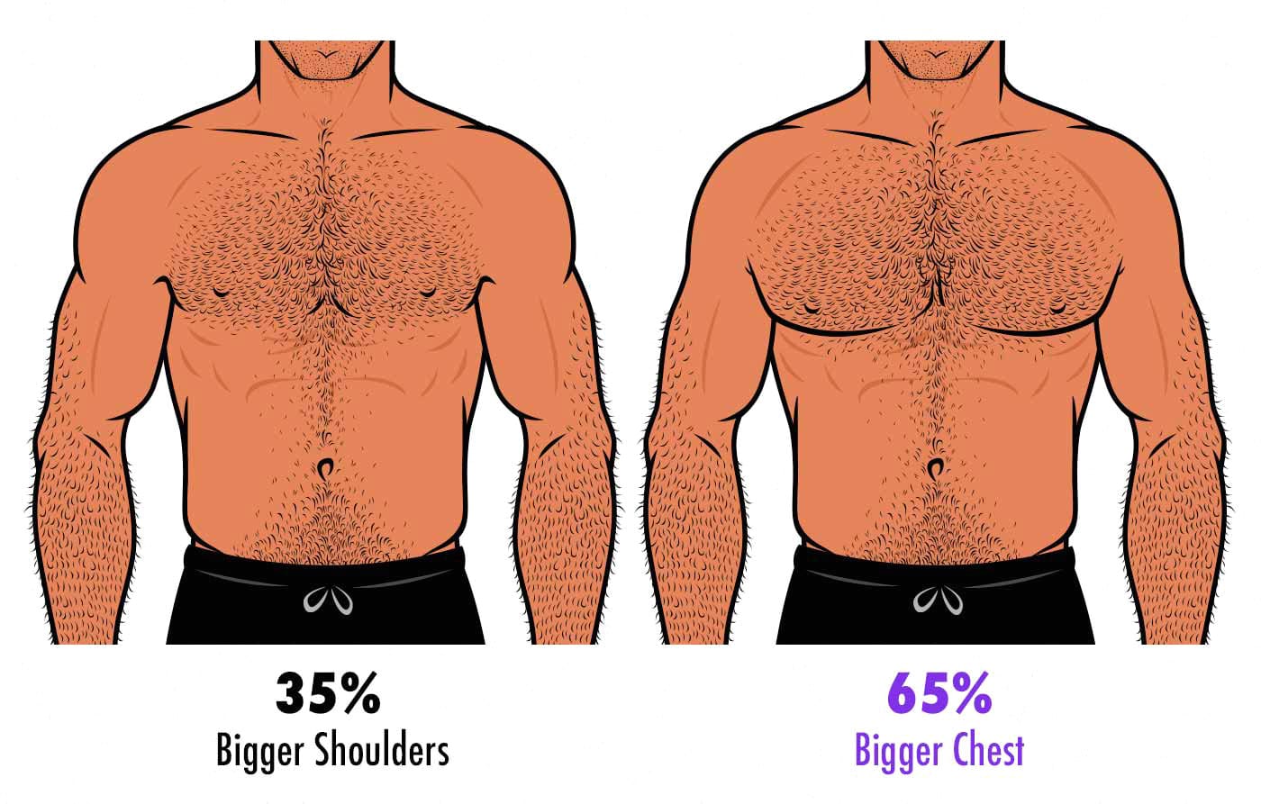 Ultimate Guide To Body Types Ectomorph Endomorph 49 OFF