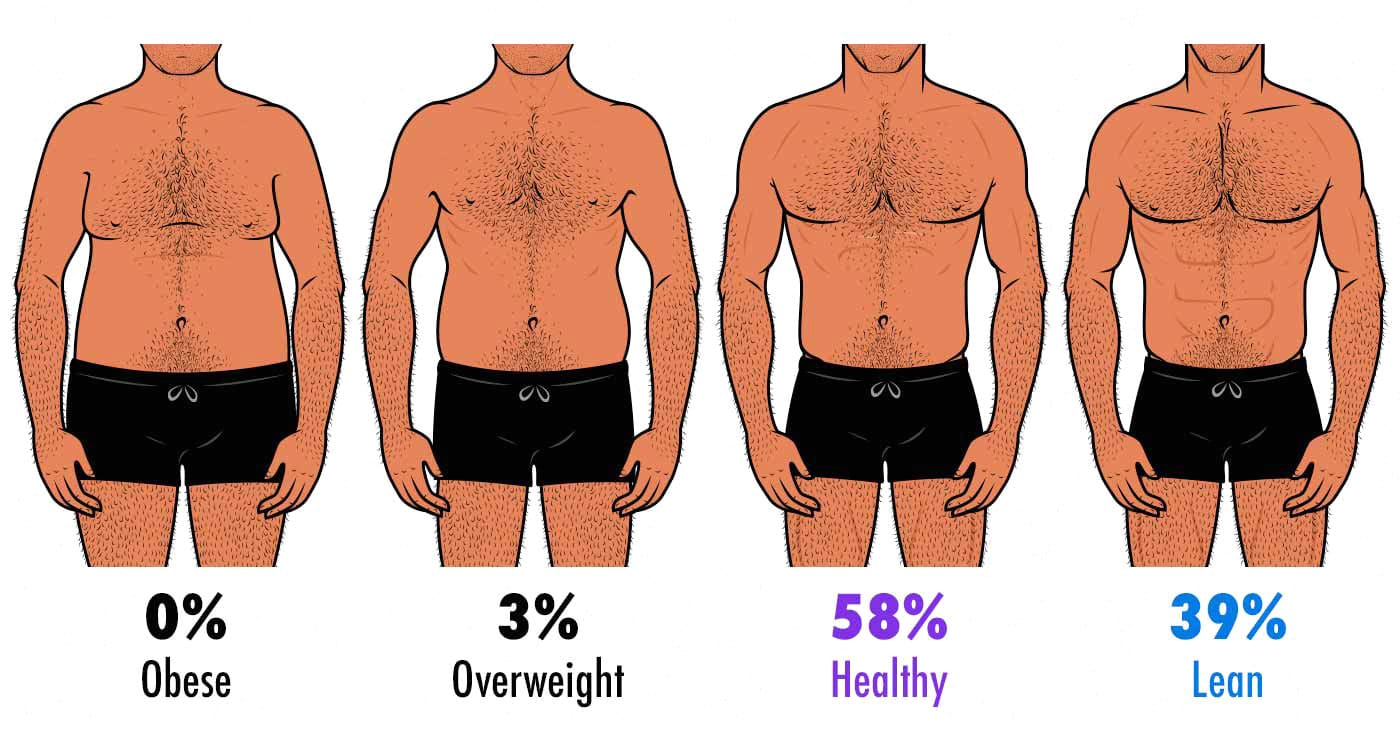 Illustration showing varying body-fat percentages in men.