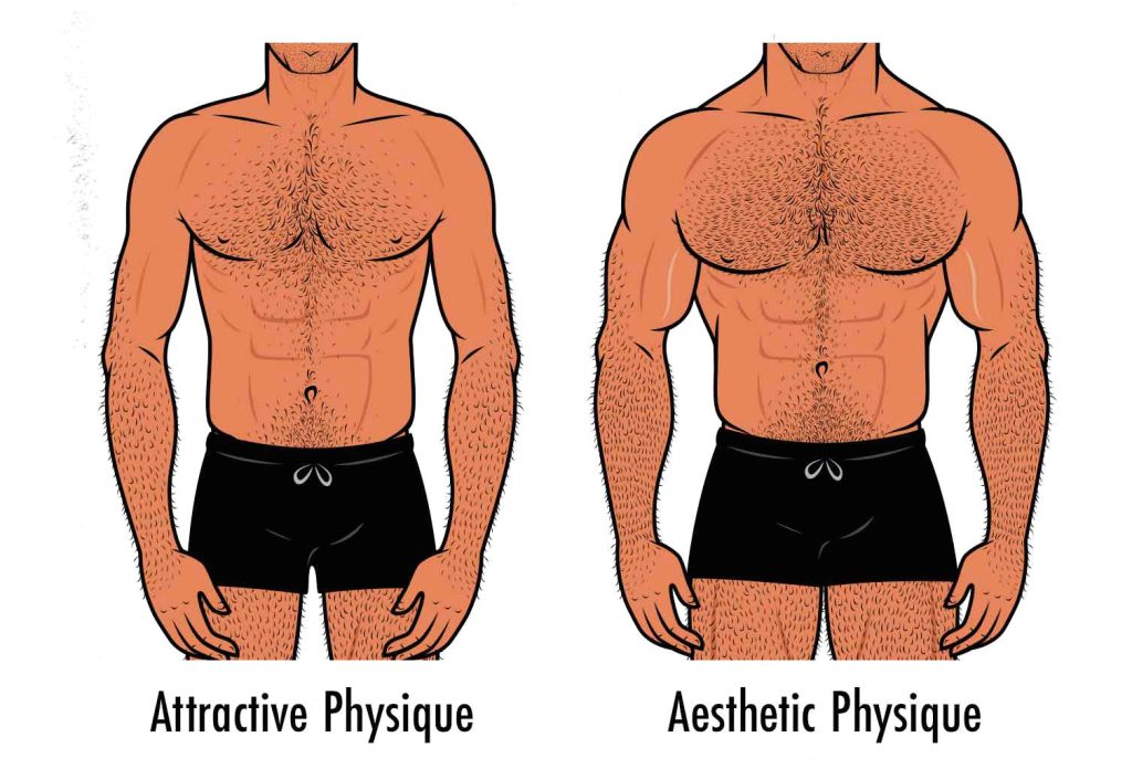 Illustration showing the differences between a male body that's attractive to women versus a body that looks ideal to men.