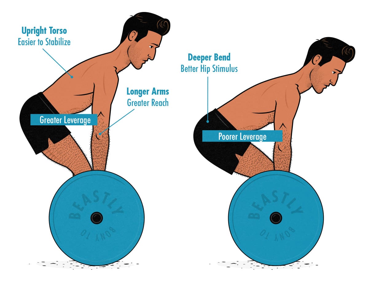 Illustration of a skinny guy with long arms and a long torso doing deadlifts.