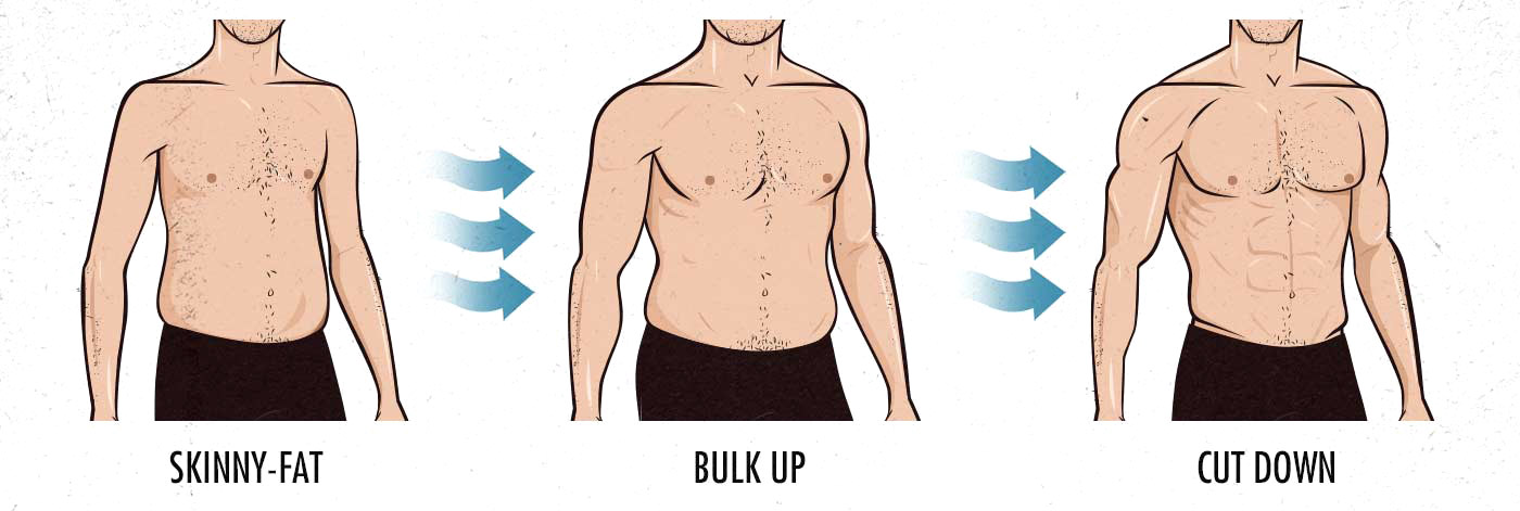 Weight Lifting Routine For Skinny Fat Guys EOUA Blog