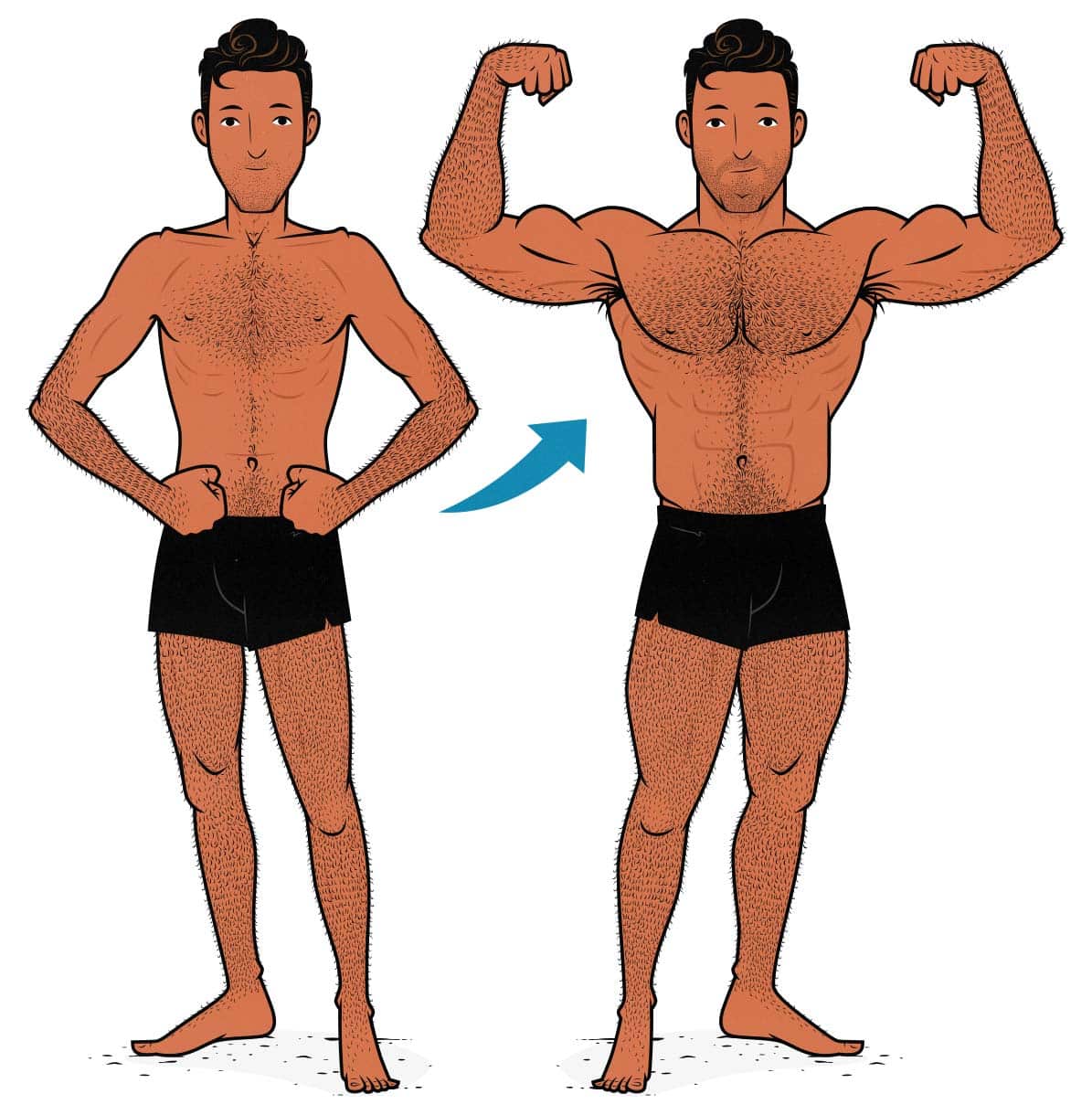 Illustration of a skinny guy building muscle and becoming muscular.