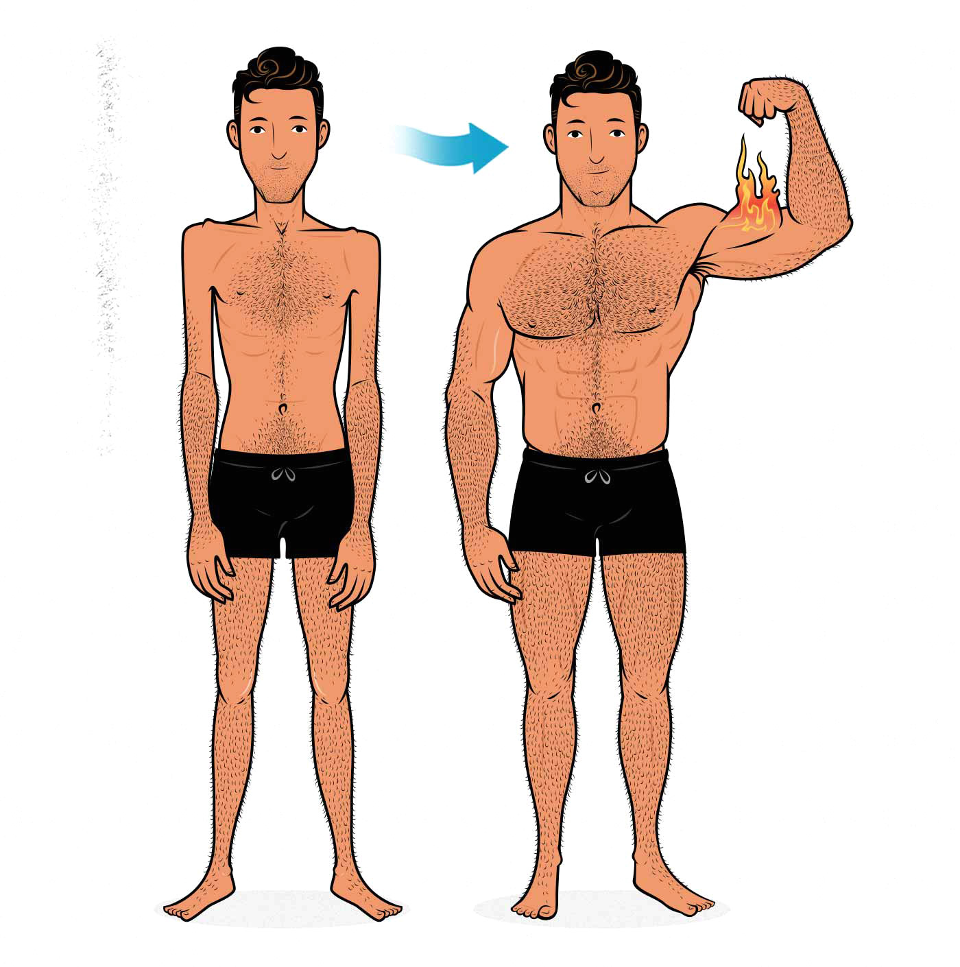 Before and after illustration of a skinny guy building muscle and becoming muscular.