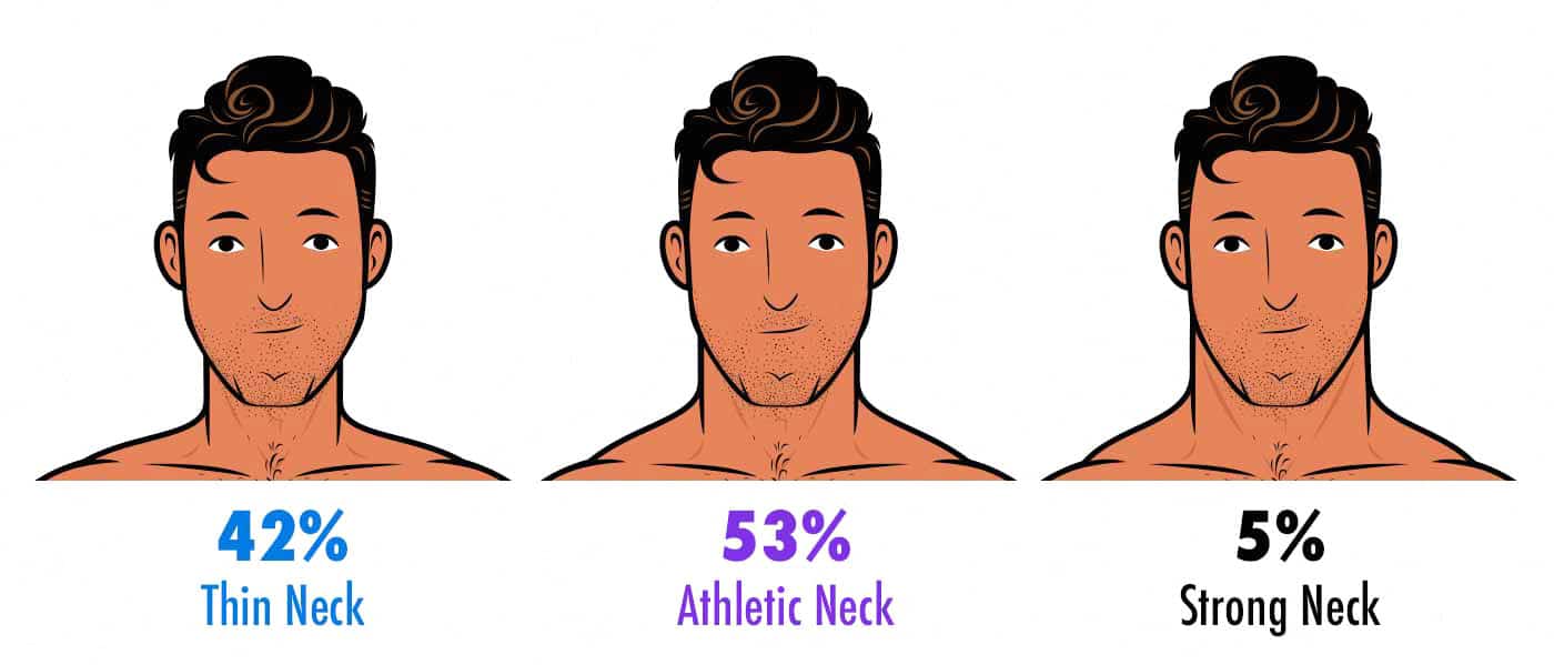 Illustration showing the most attractive male neck size as rated by women.