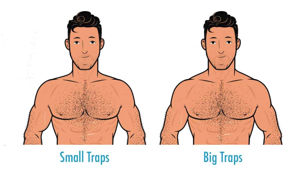 How to Build Broader Shoulders (for Skinny Guys)