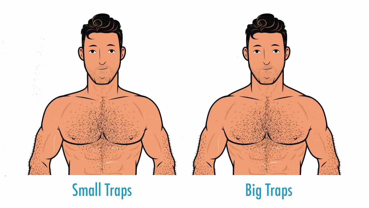 Comparison of a man with small vs big trap muscles.