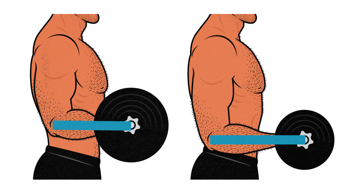 Illustration showing how being tall and skinny can affect strength.