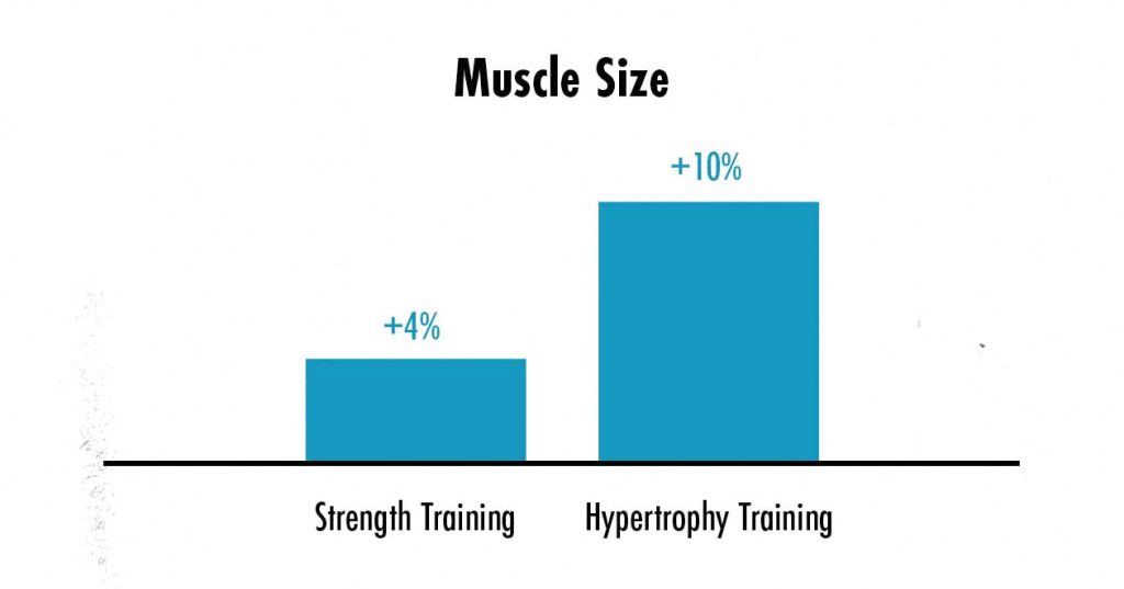 Graph showing the differences in muscle size after following a strength training or hypertrophy training program for eight weeks.