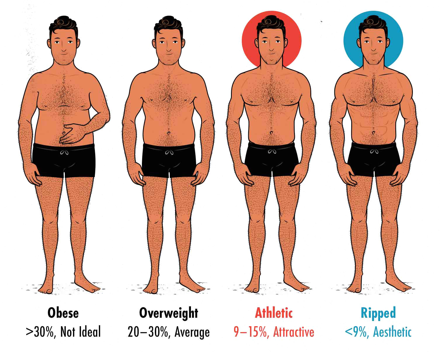 Diagram showing the most attractive and aesthetic male body-fat percentages.