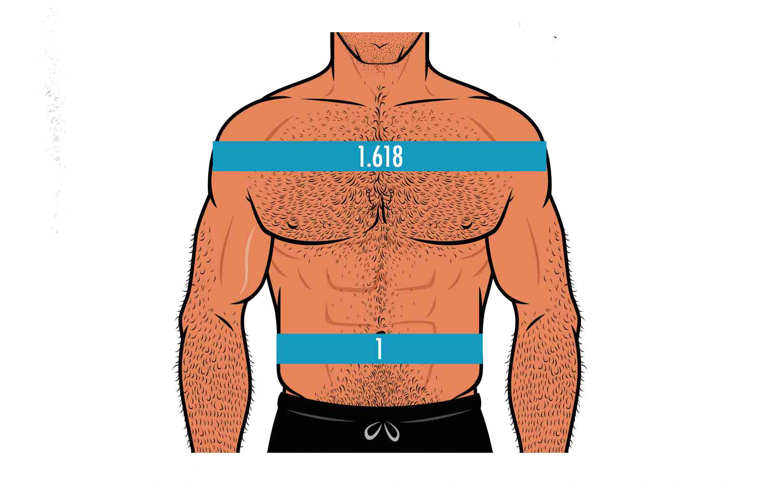 Diagram showing how to measure the ideal shoulder-to-waist ratio for men.