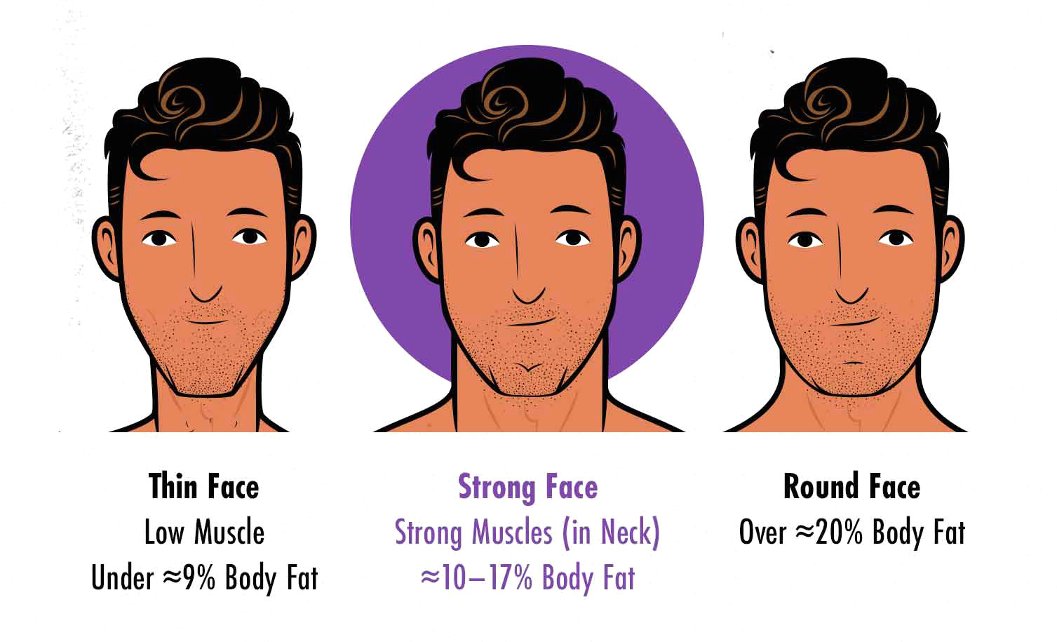 Fat Face Size Guide