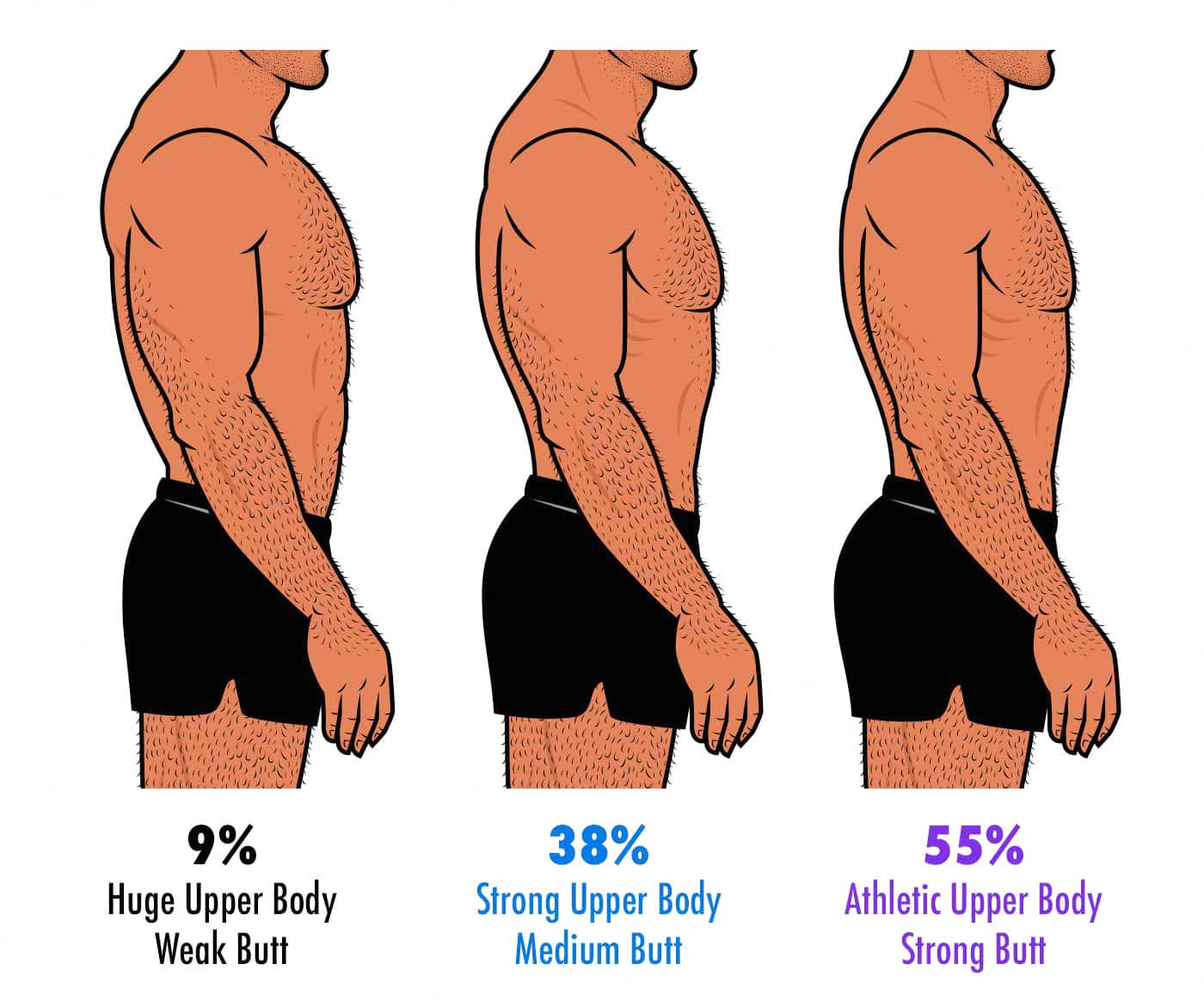 male body types women prefer