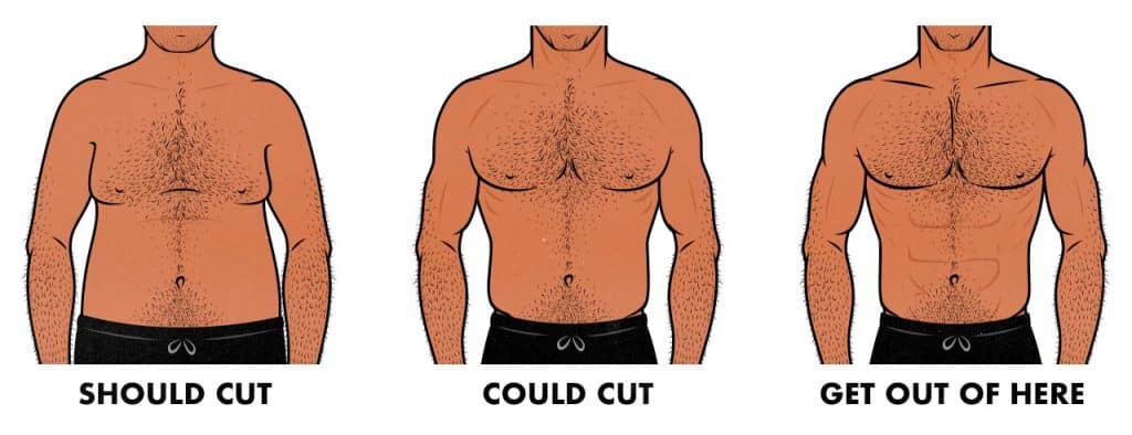 How To Cut Fat After Bulking The Cutting Guide: How to Burn Fat While Building A Bit of Muscle