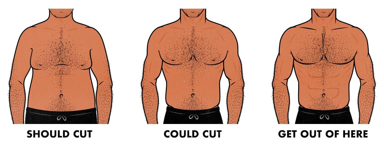 Illustration showing whether you should cut or not based on your body-fat percentage.