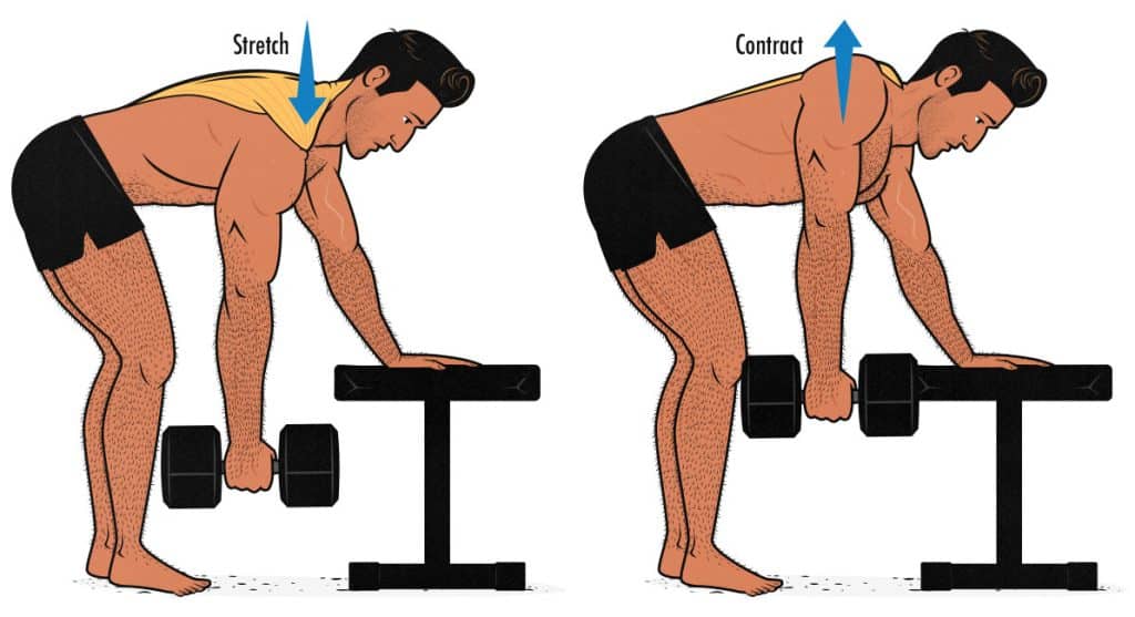 How to Train All Your Back Muscles