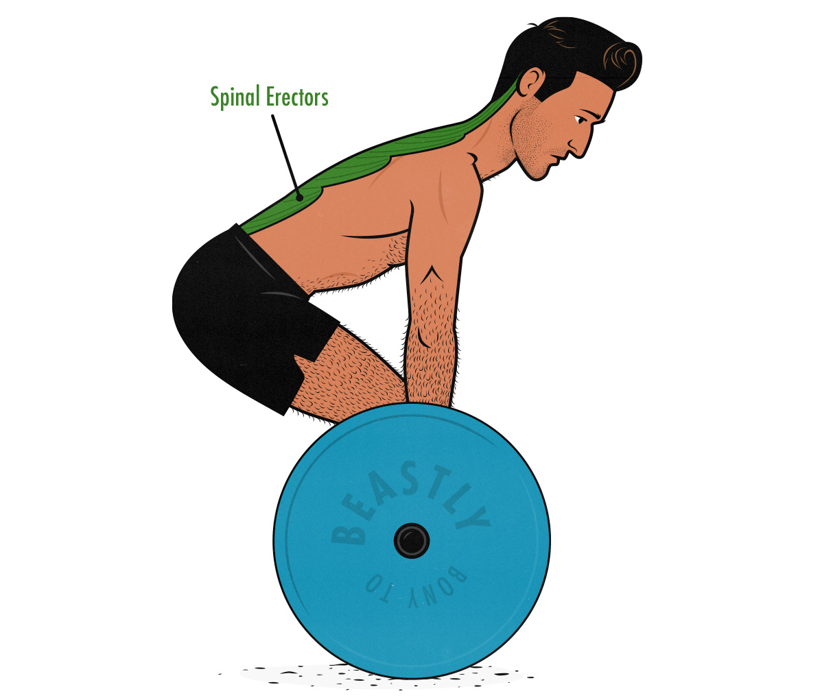 Illustration of a skinny guy doing deadlifts to build a thicker back.