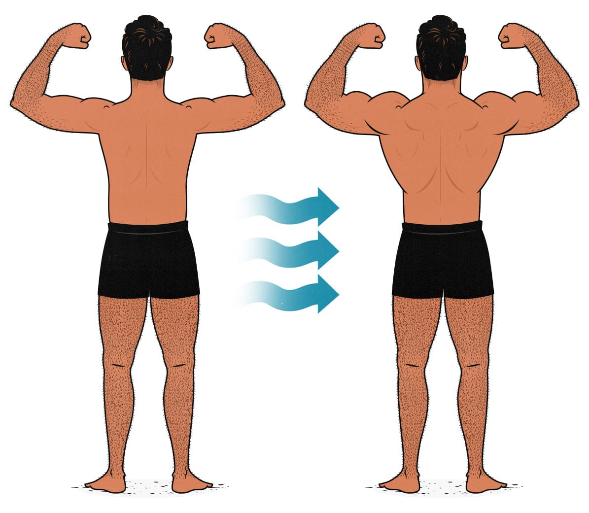 Illustration of a skinny guy bulking up and building bigger back muscles.