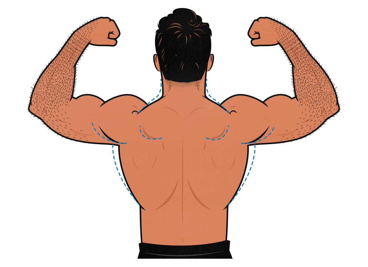 Illustration of a guy building longer back muscles.