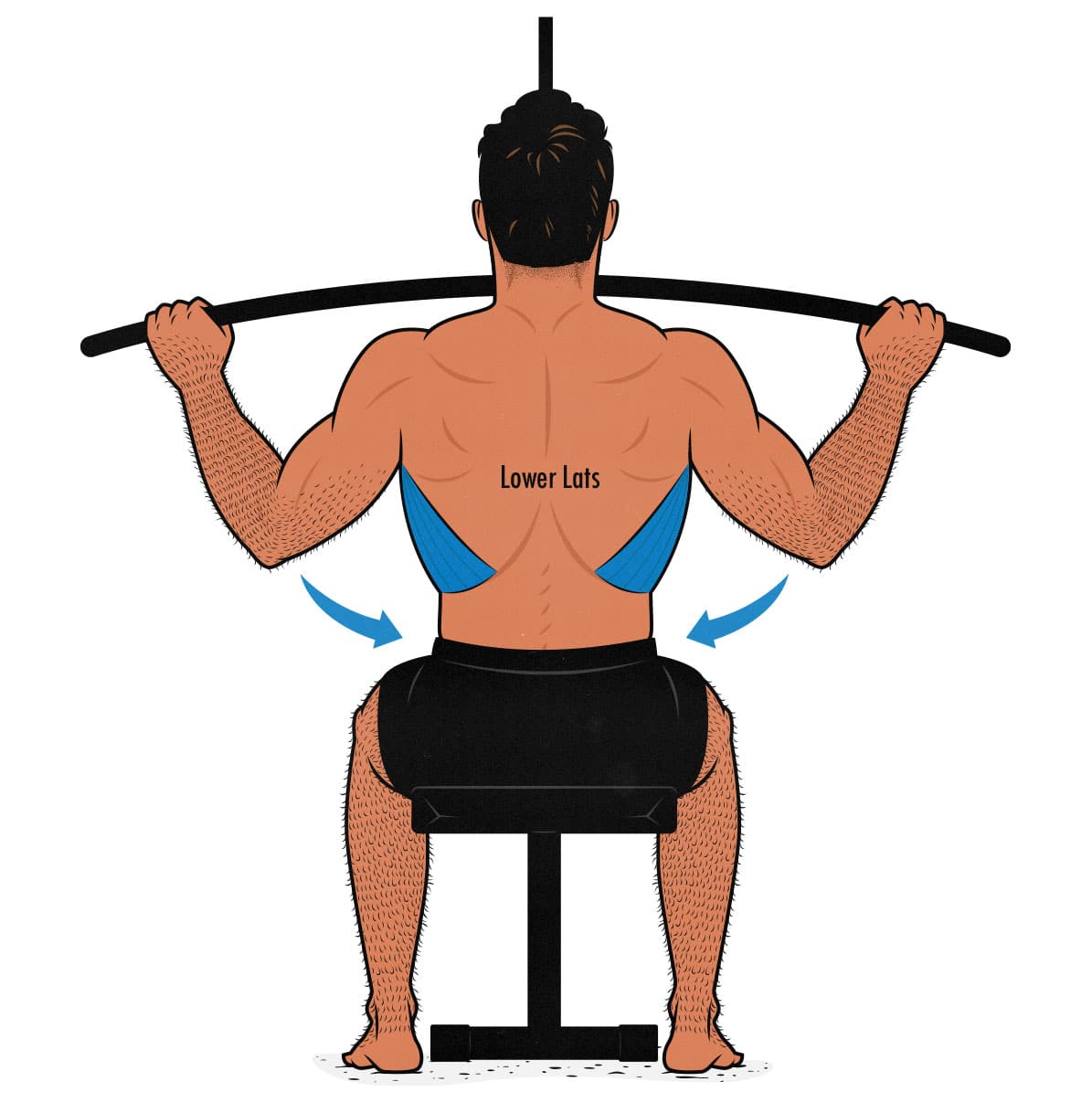 Diagram showing a bodybuilder training his lower lats with wide-grip pulldowns.