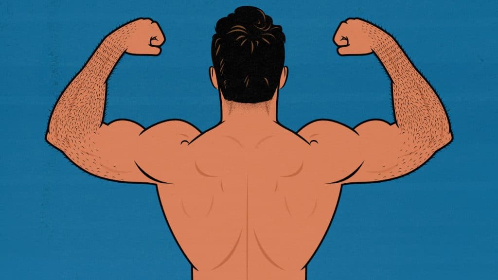 Illustration showing a skinny bodybuilder flexing his back, doing a back double biceps pose.