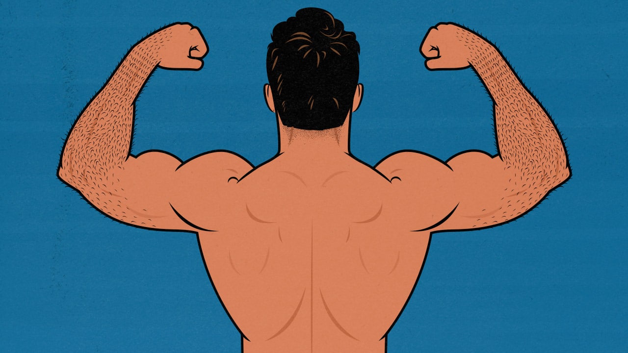 Illustration showing a skinny bodybuilder flexing his back, doing a back double biceps pose.