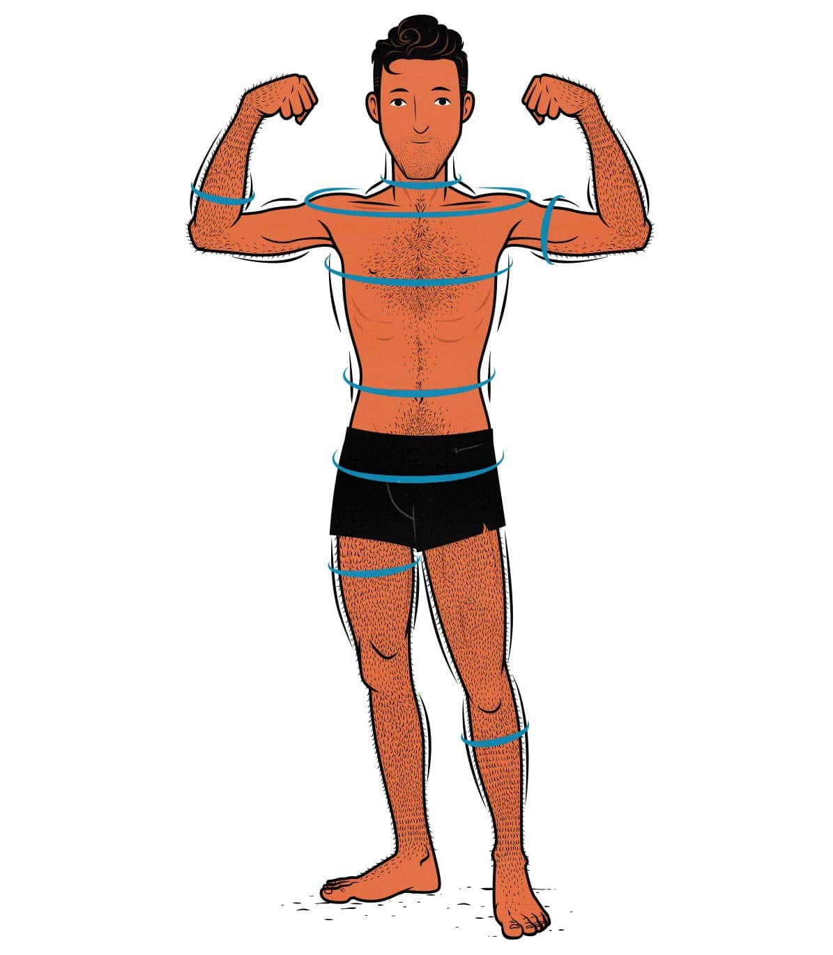 Illustration of a skinny guy measuring his muscle growth while bulking. Illustrated by Shane Duquette.