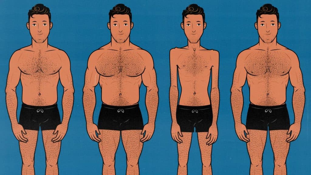 Men with different body shapes, levels of muscularity, and degrees of leanness. Illustrated by Shane Duquette.