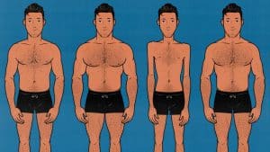 Men with different body shapes, levels of muscularity, and degrees of leanness. Illustrated by Shane Duquette.
