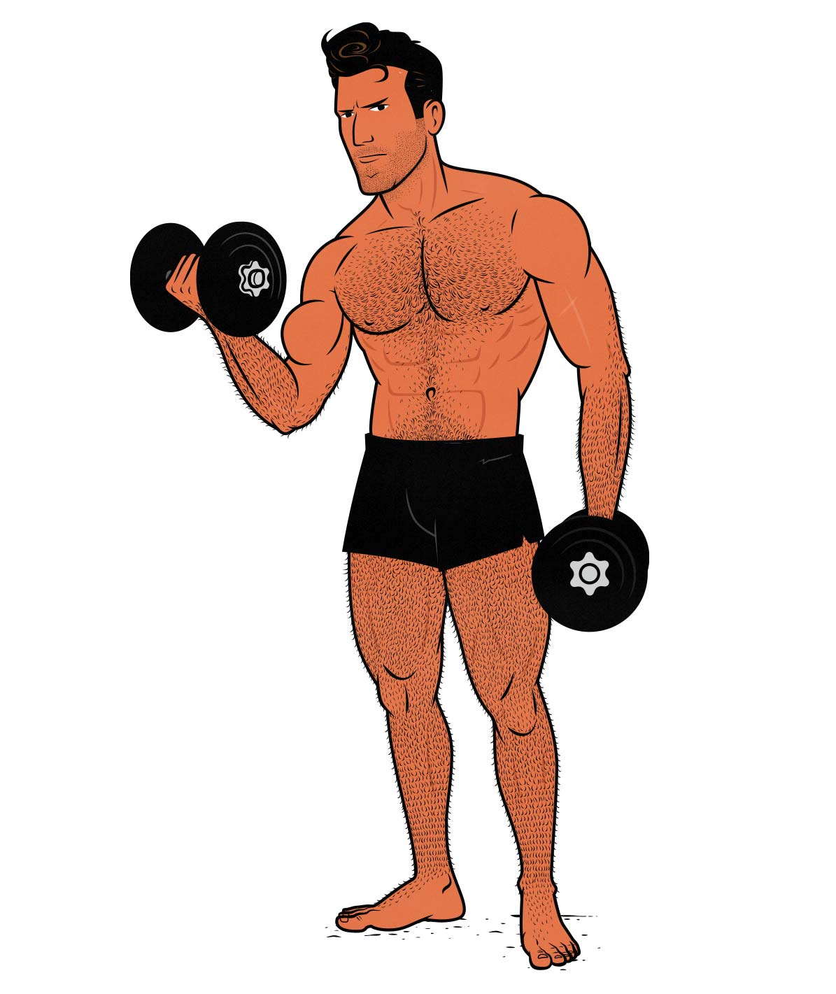 Cartoon illustration of a bodybuilder doing bicep curls to build muscle. Illustrated by Shane Duquette.