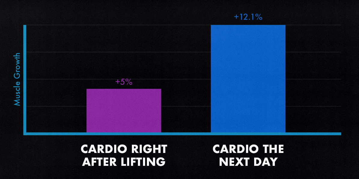 Study graph showing that doing cardio right after lifting weights reduces muscle growth by over 50%.