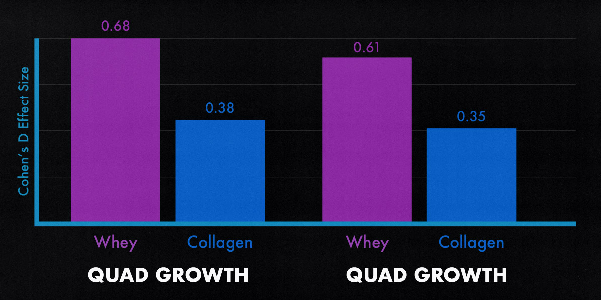 A study graph showing that whey protein is better for building muscle than collagen protein.